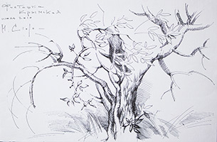Margarita Siourina. The Crimean Pistachio Tree. 2010