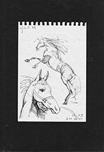 Margarita Siourina. The Horses Sketches, 2011