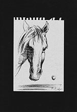 Margarita Siourina. The Sketch of Horse Head, 2011