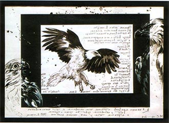 М. Syurina. The Hawk. Eagle, and Vulture. 2011